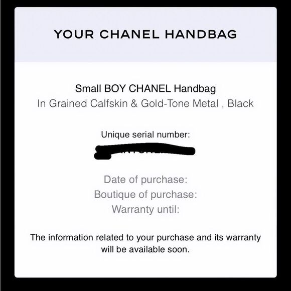 CHANEL small boy bag - Picture 11 of 12